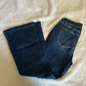 Judy blue jeans flare